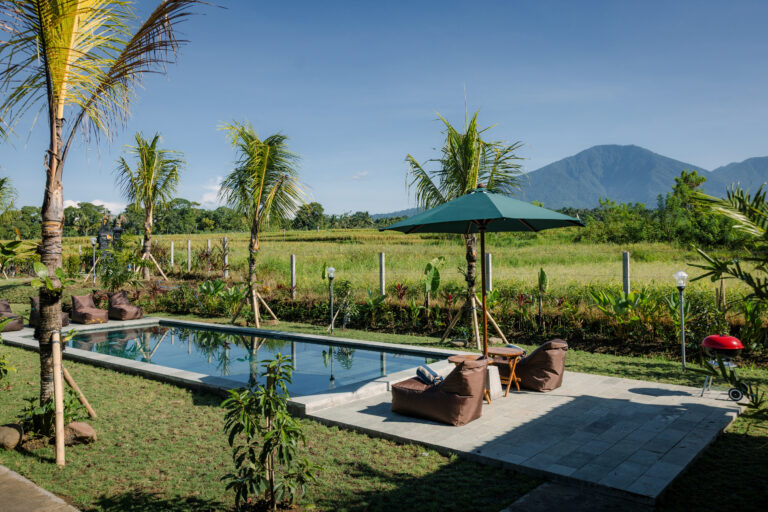 Swimming pool with sun loungers overlooking the rice fields at Tegal Wangi Penebel