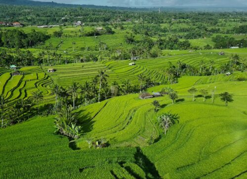 Emerald rice terraces of Jatiluwih winding down the hillside