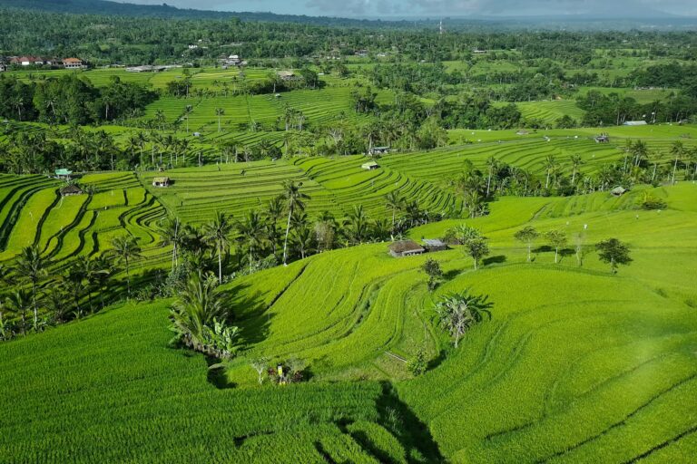 Emerald rice terraces of Jatiluwih winding down the hillside